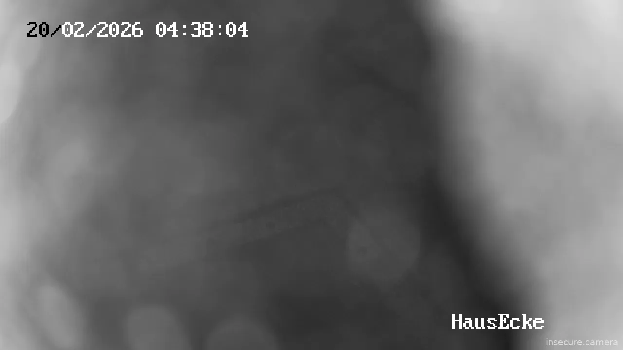 Capture from Feb 20, 2026 at 03:38 AM