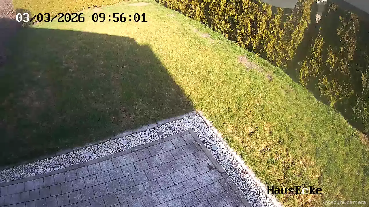 Capture from Mar 03, 2026 at 08:56 AM