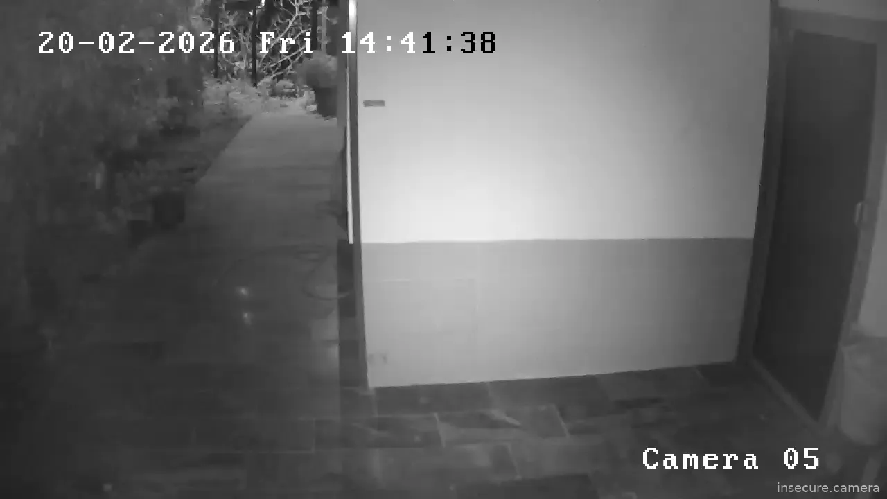 Capture from Feb 20, 2026 at 07:25 PM