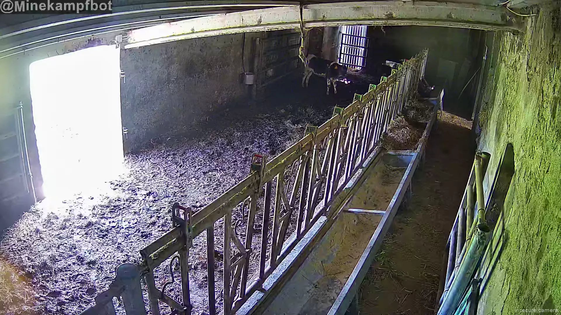 Capture from Feb 26, 2026 at 01:19 PM