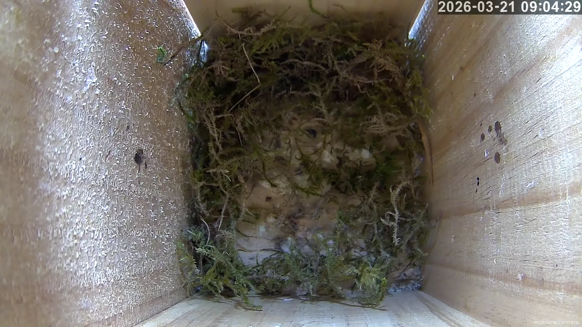 Capture from Mar 21, 2026 at 08:04 AM