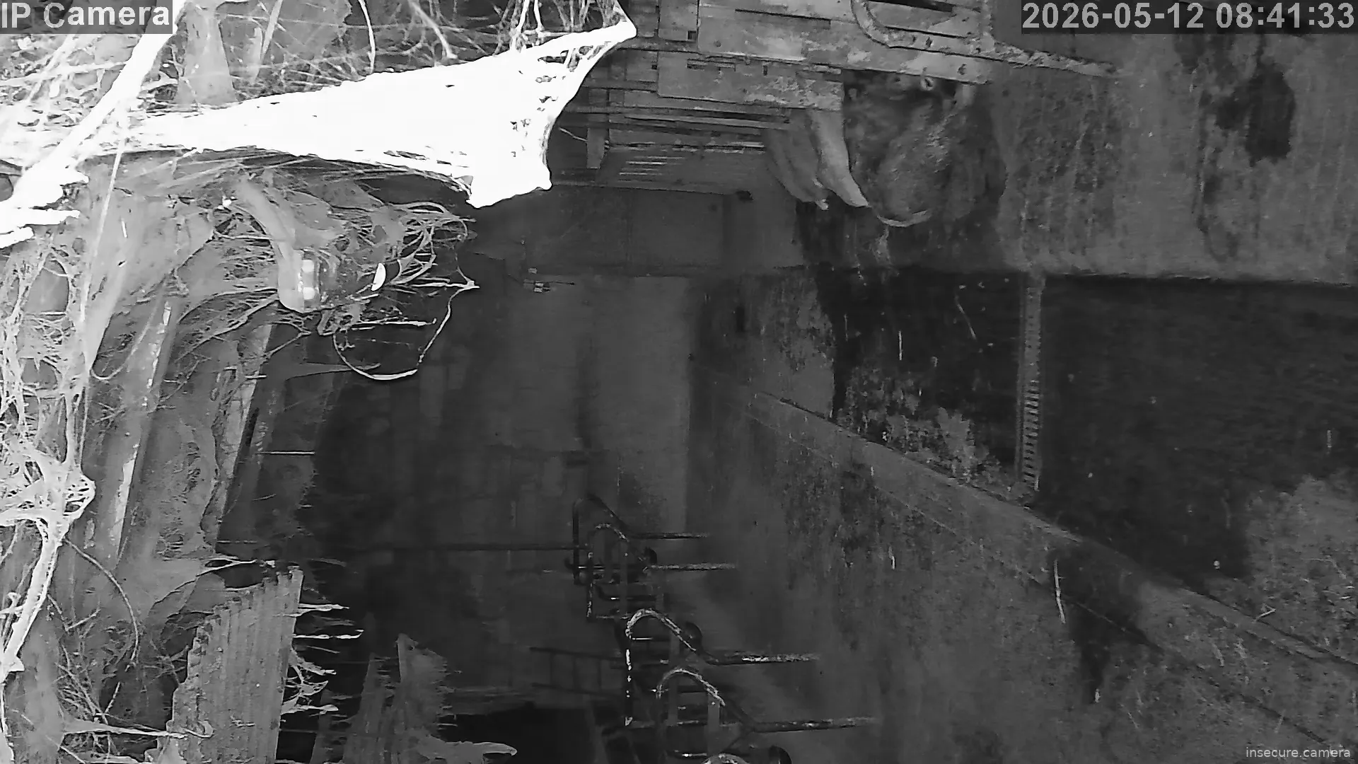 Capture from May 12, 2026 at 12:41 AM