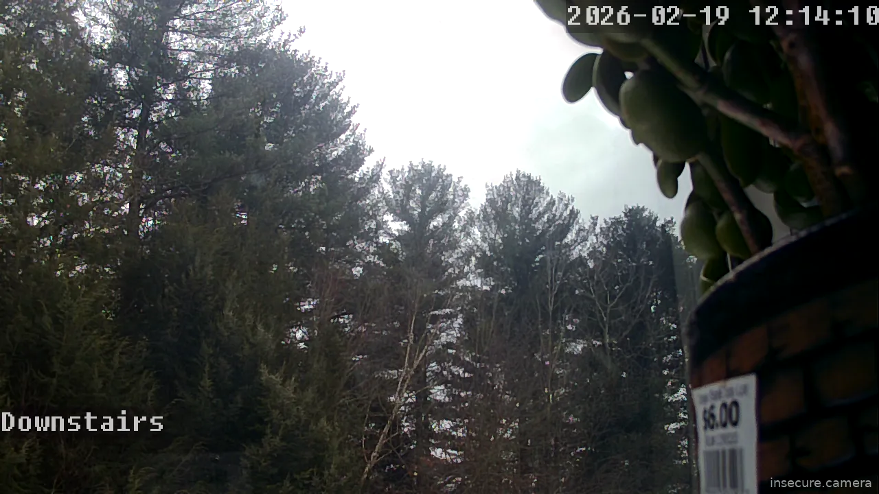 Capture from Feb 19, 2026 at 05:15 PM