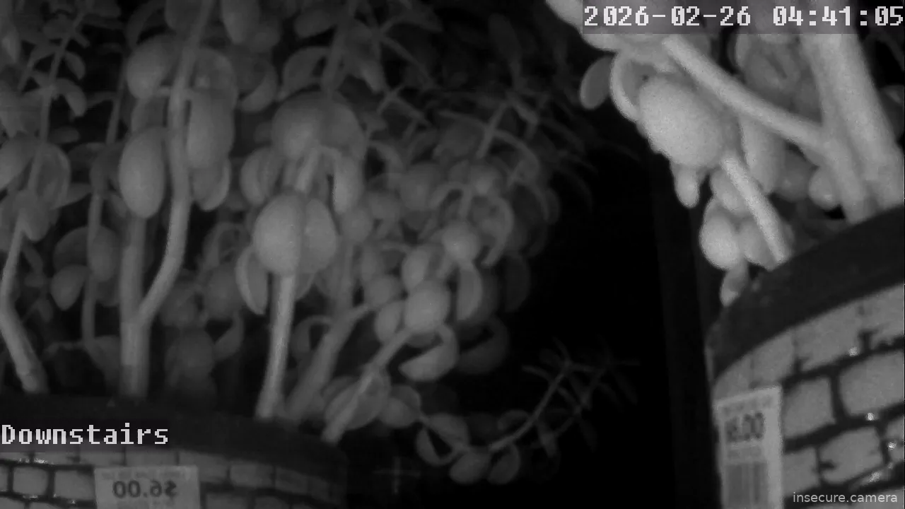 Capture from Feb 26, 2026 at 09:41 AM