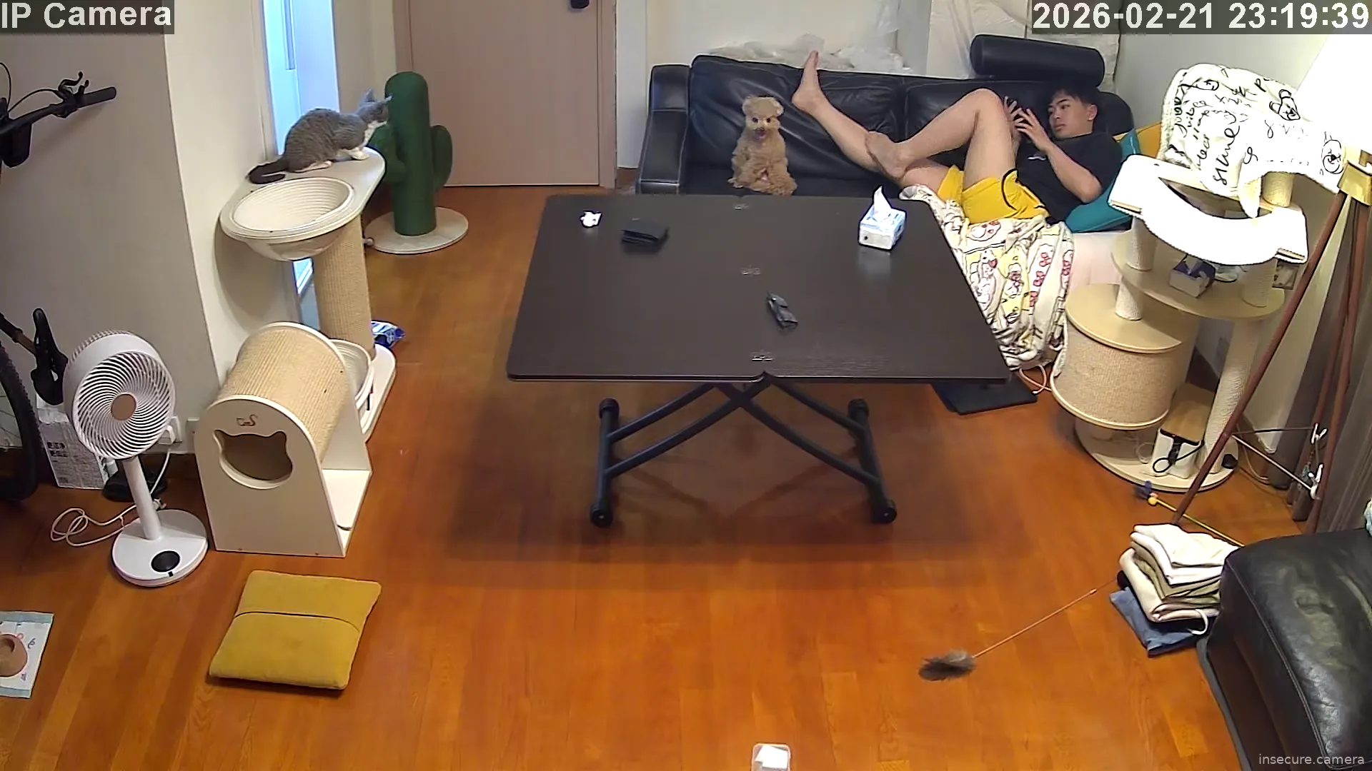 Capture from Feb 21, 2026 at 03:20 PM