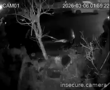 Camera in South Korea