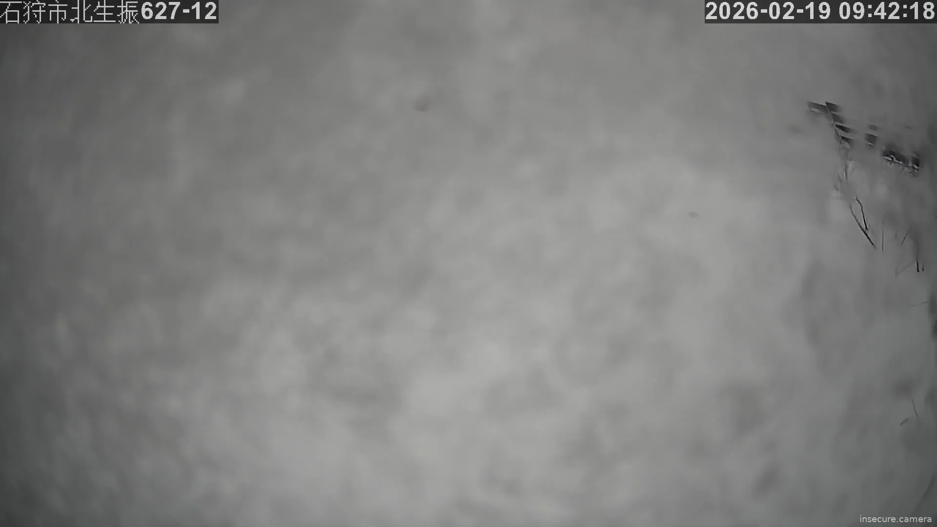 Capture from Feb 19, 2026 at 12:43 AM