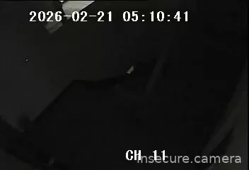 Capture from Feb 20, 2026 at 09:48 PM