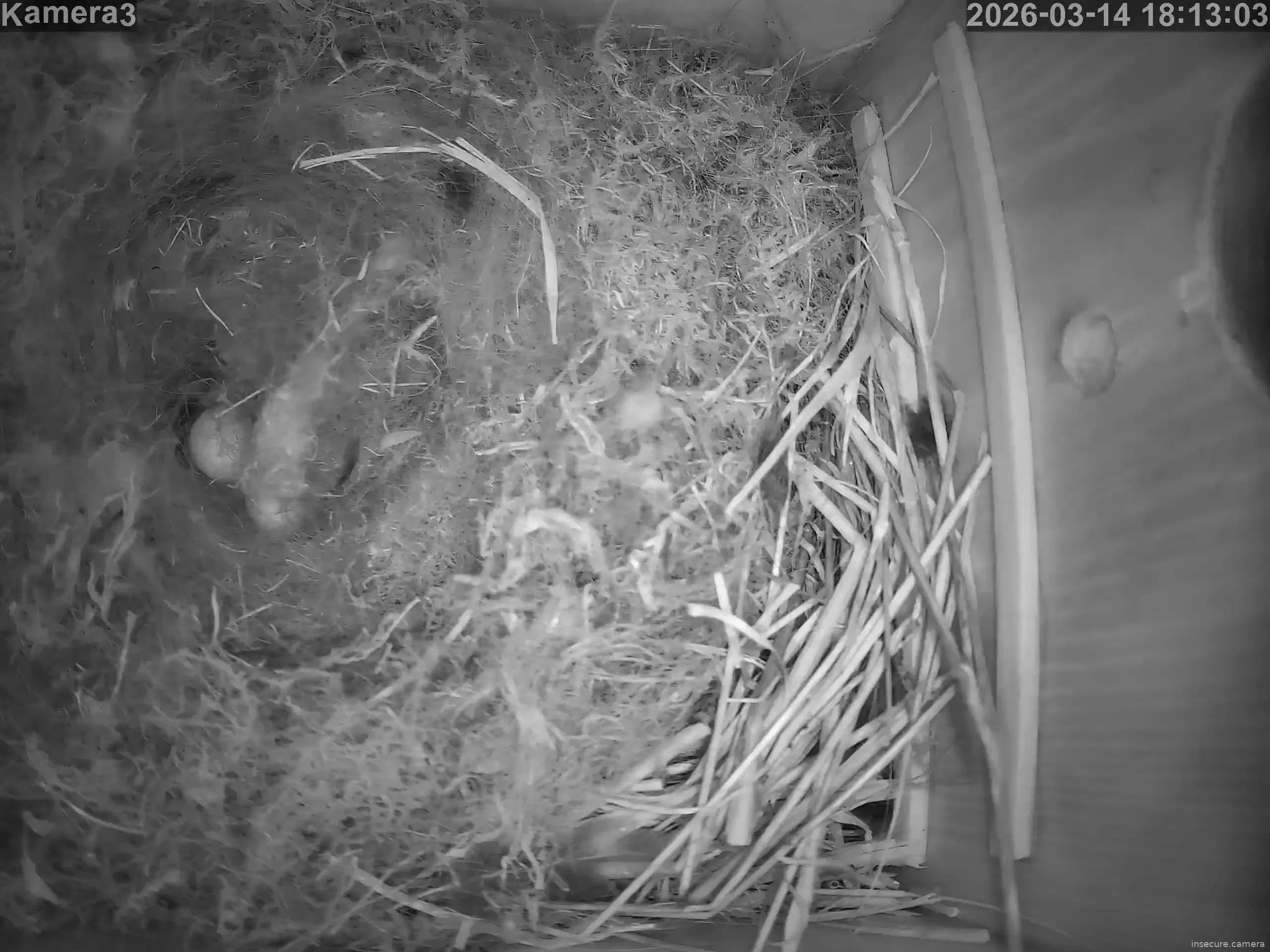 Capture from Mar 14, 2026 at 05:13 PM