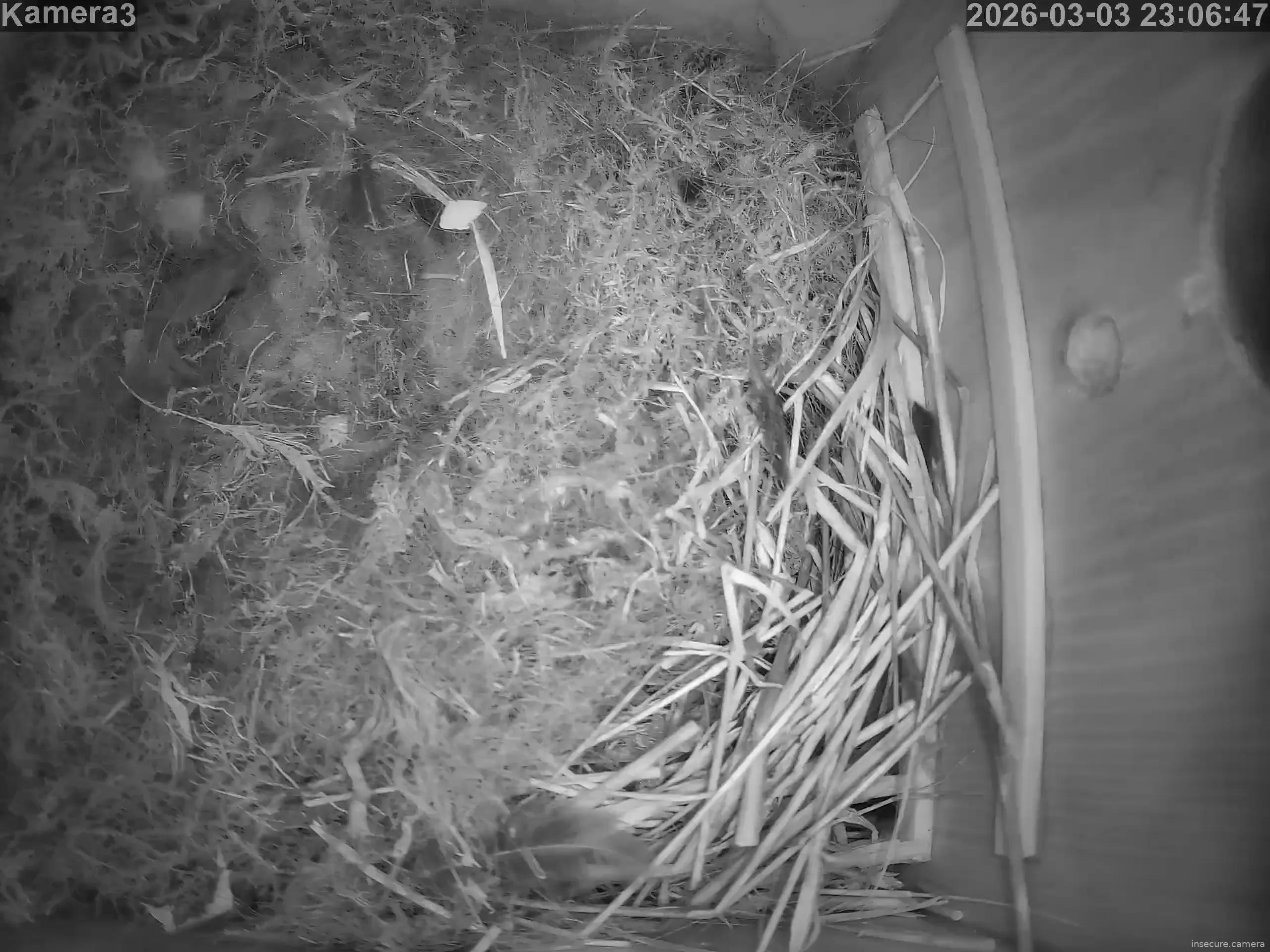 Capture from Mar 03, 2026 at 10:07 PM