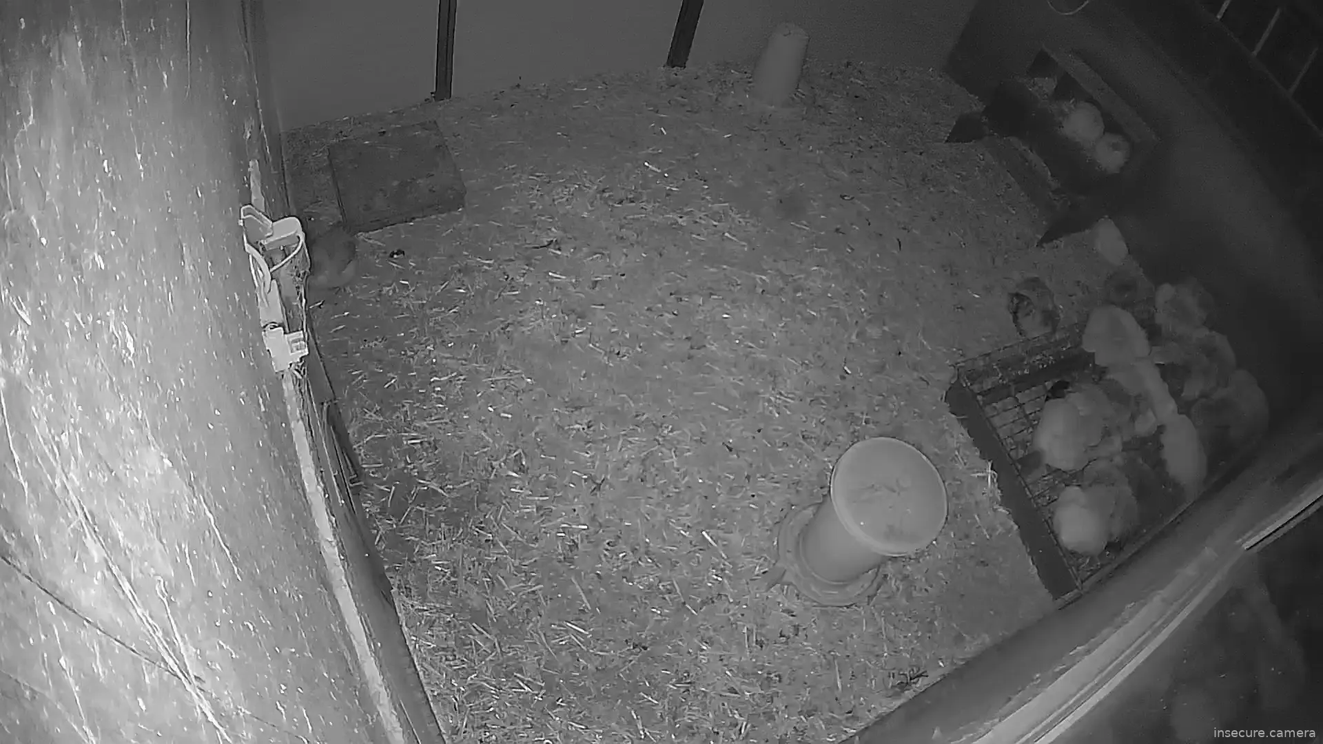 Capture from Feb 19, 2026 at 03:48 AM