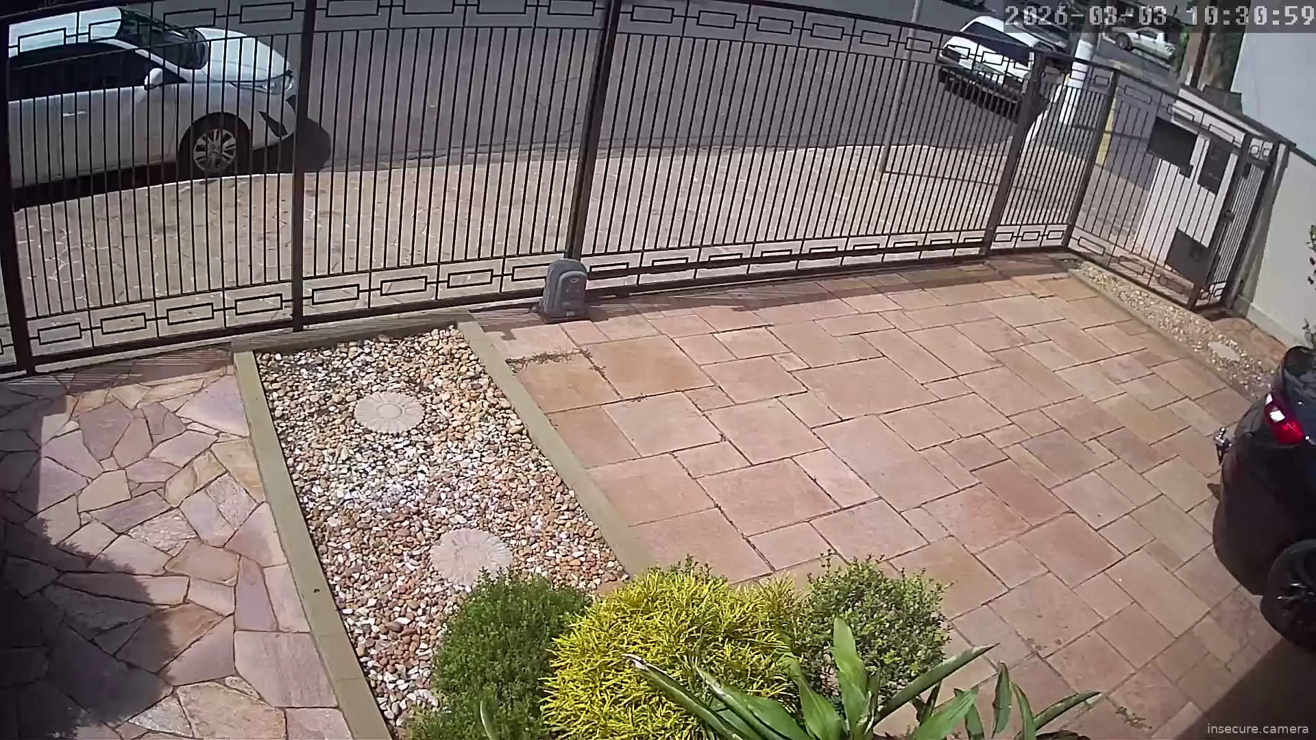 Capture from Mar 03, 2026 at 01:31 PM