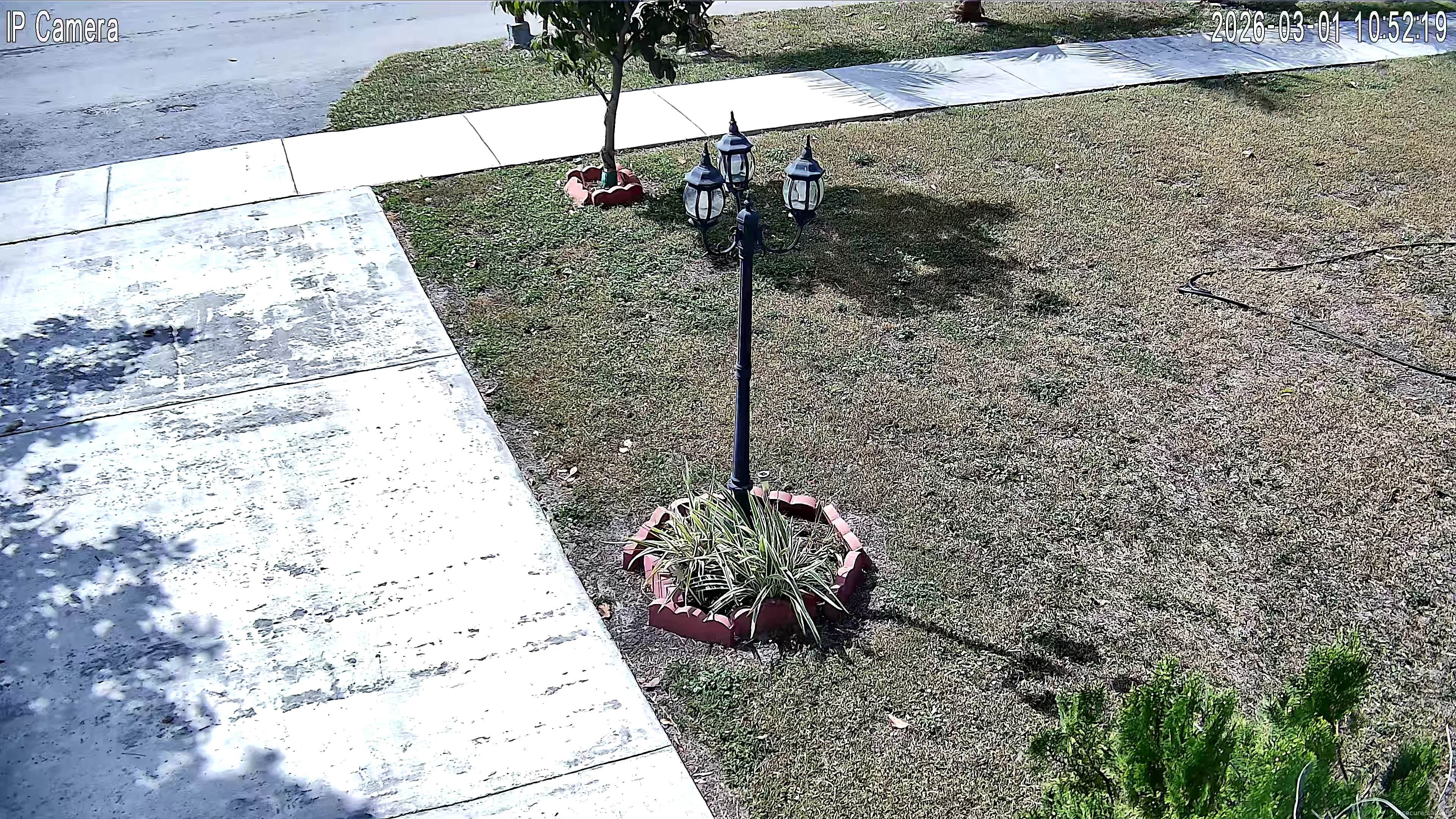 Camera in United States