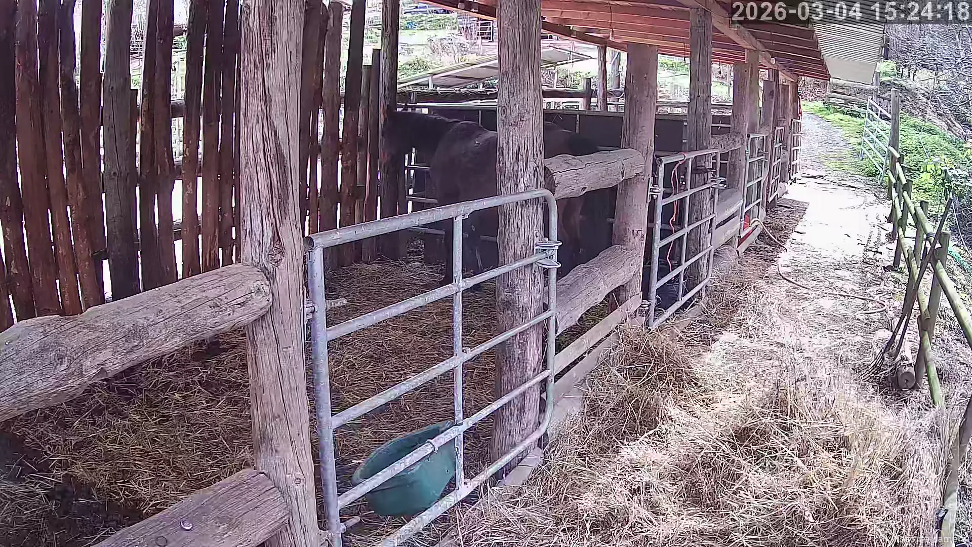 Capture from Mar 04, 2026 at 01:24 PM