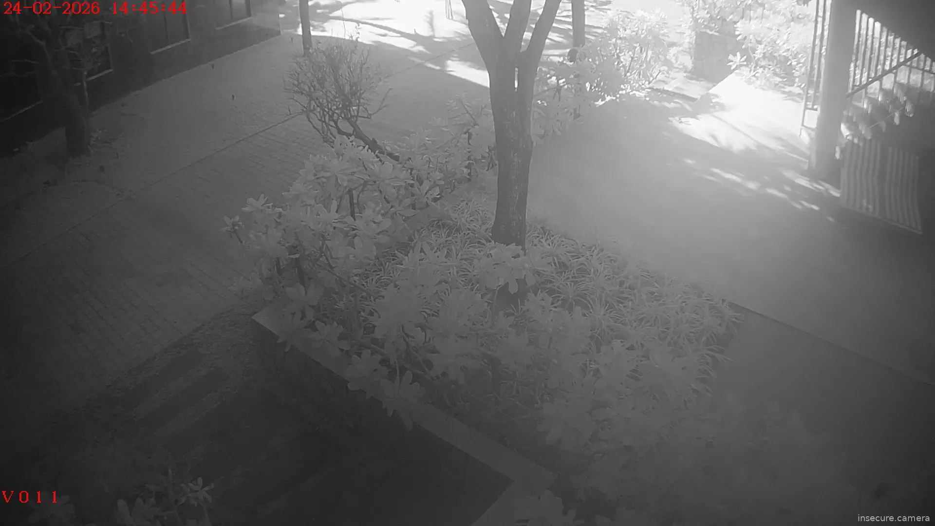 Capture from Feb 24, 2026 at 07:45 AM