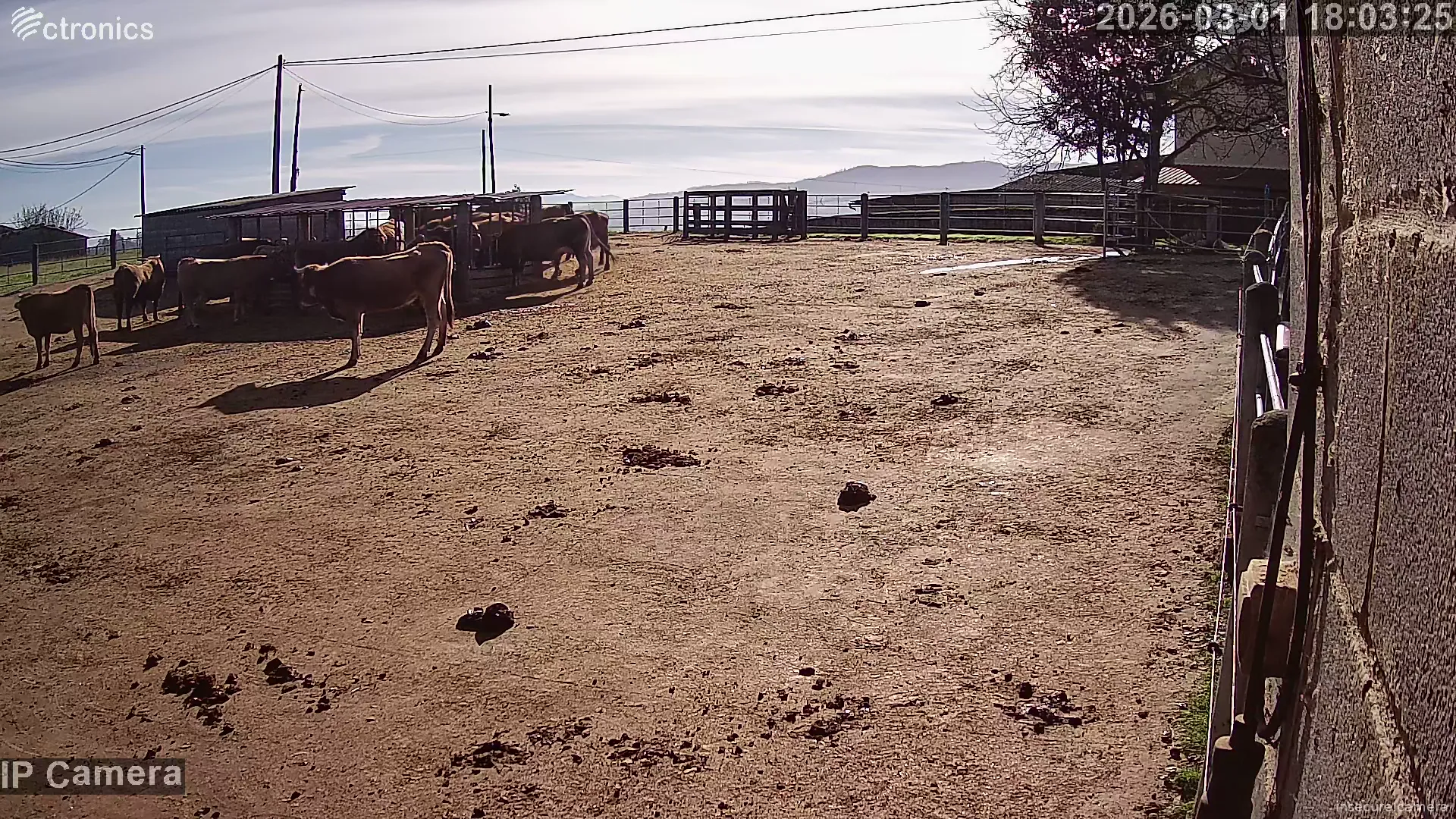 Capture from Mar 01, 2026 at 10:03 AM