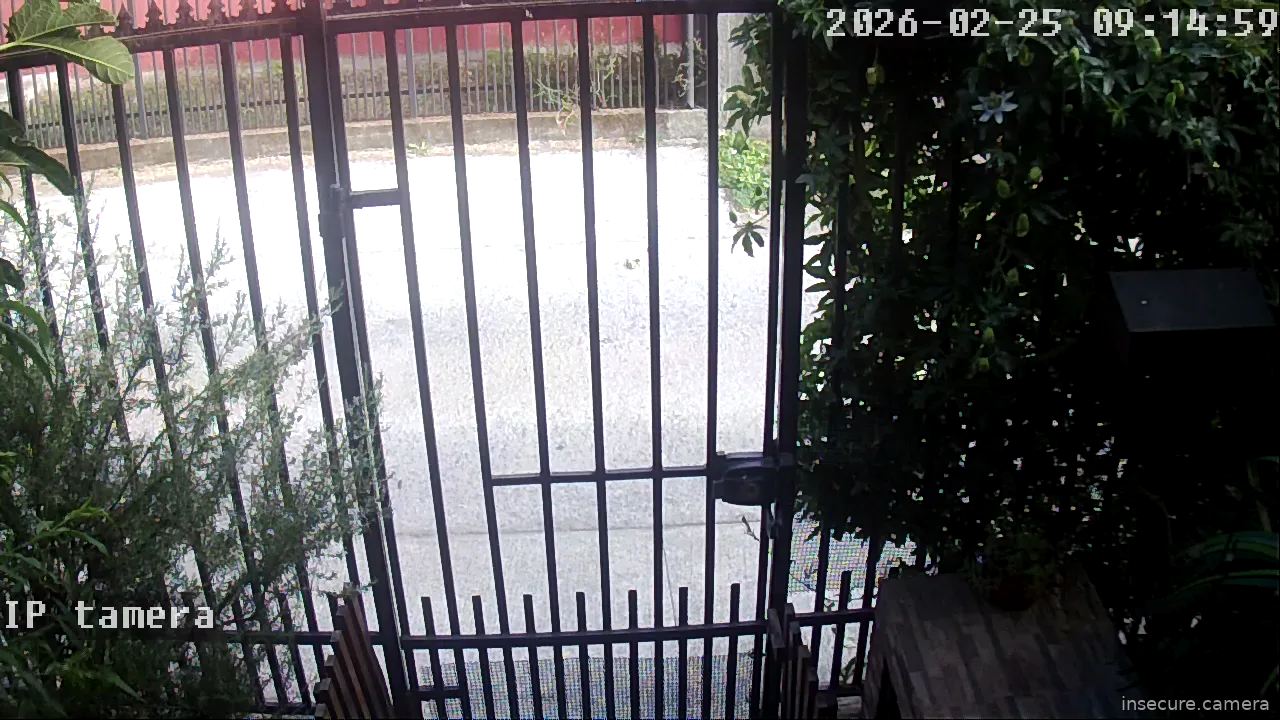 Capture from Feb 25, 2026 at 12:15 PM