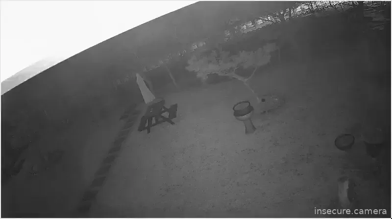 Camera in South Korea