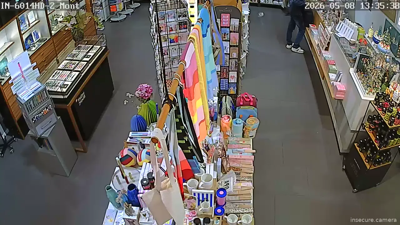 Camera in Germany