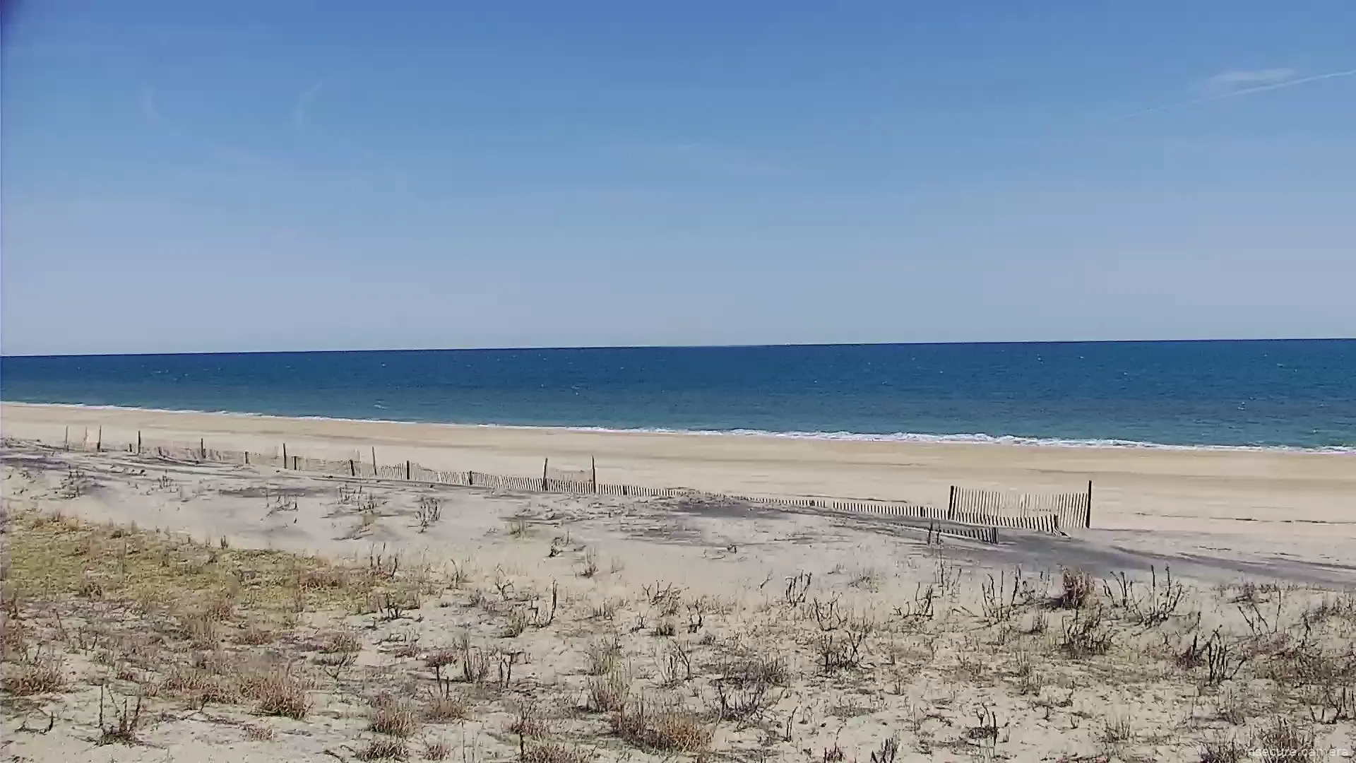 Camera in United States