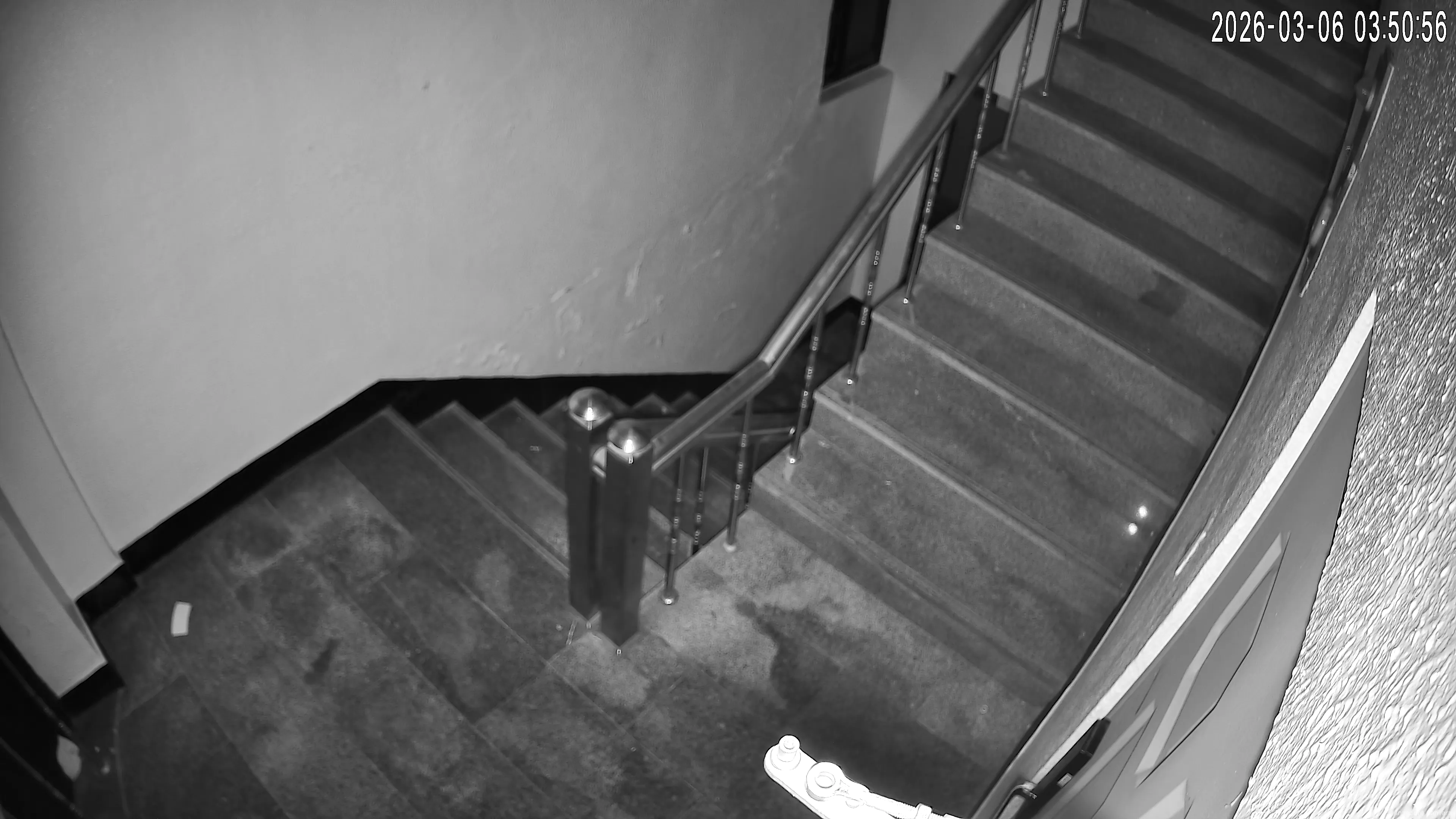 Camera in South Korea