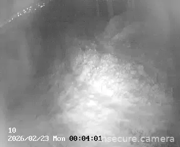 Capture from Feb 22, 2026 at 03:00 PM