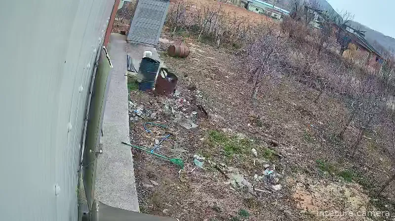 Camera in South Korea