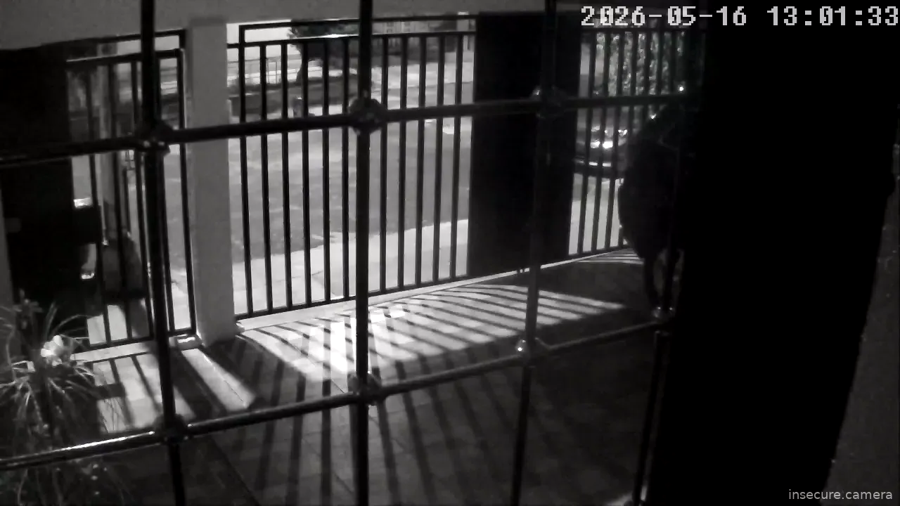 Camera in Mexico