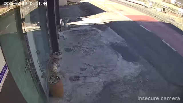 Capture from Feb 19, 2026 at 06:12 AM