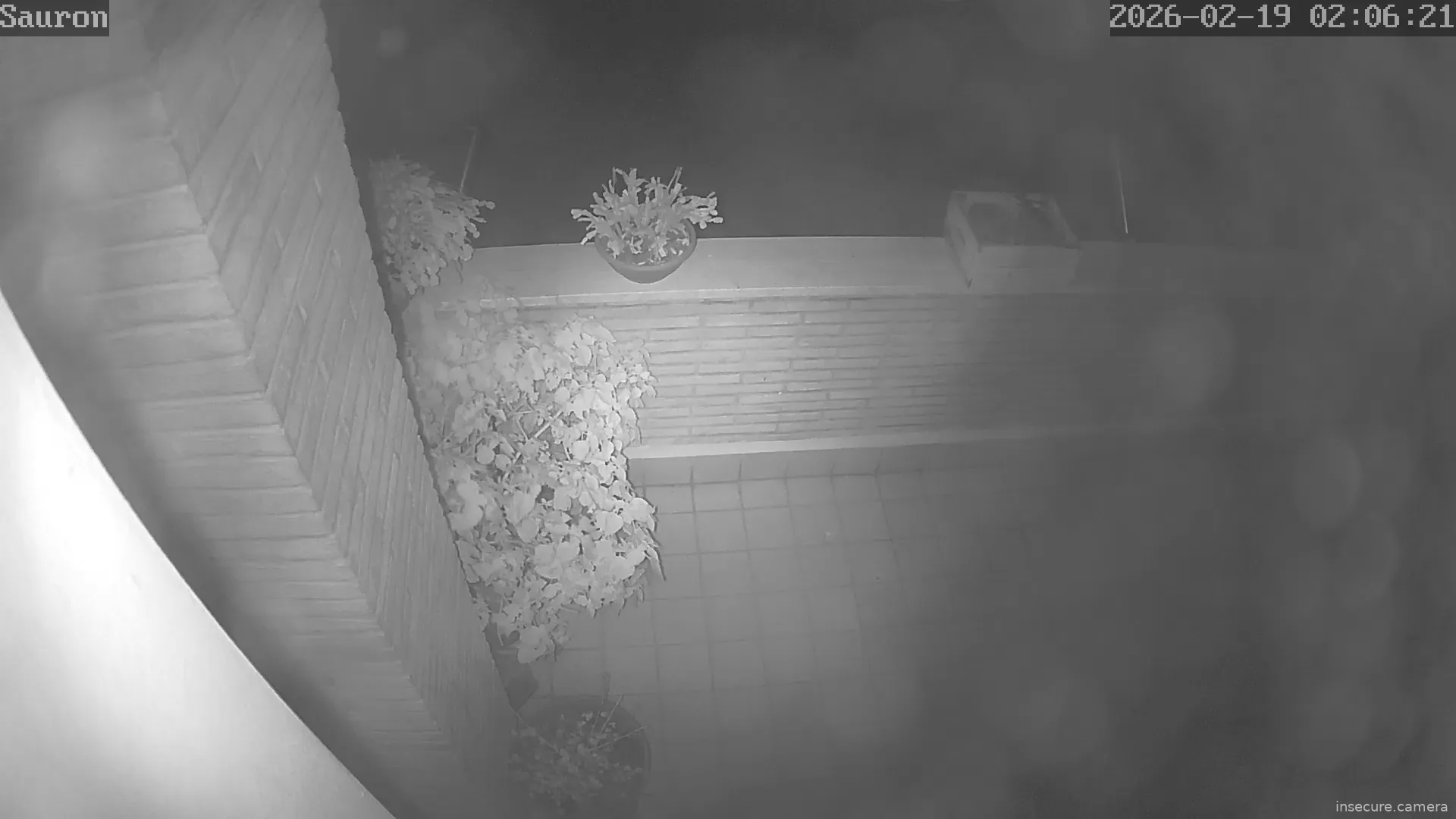 Capture from Feb 19, 2026 at 01:06 AM