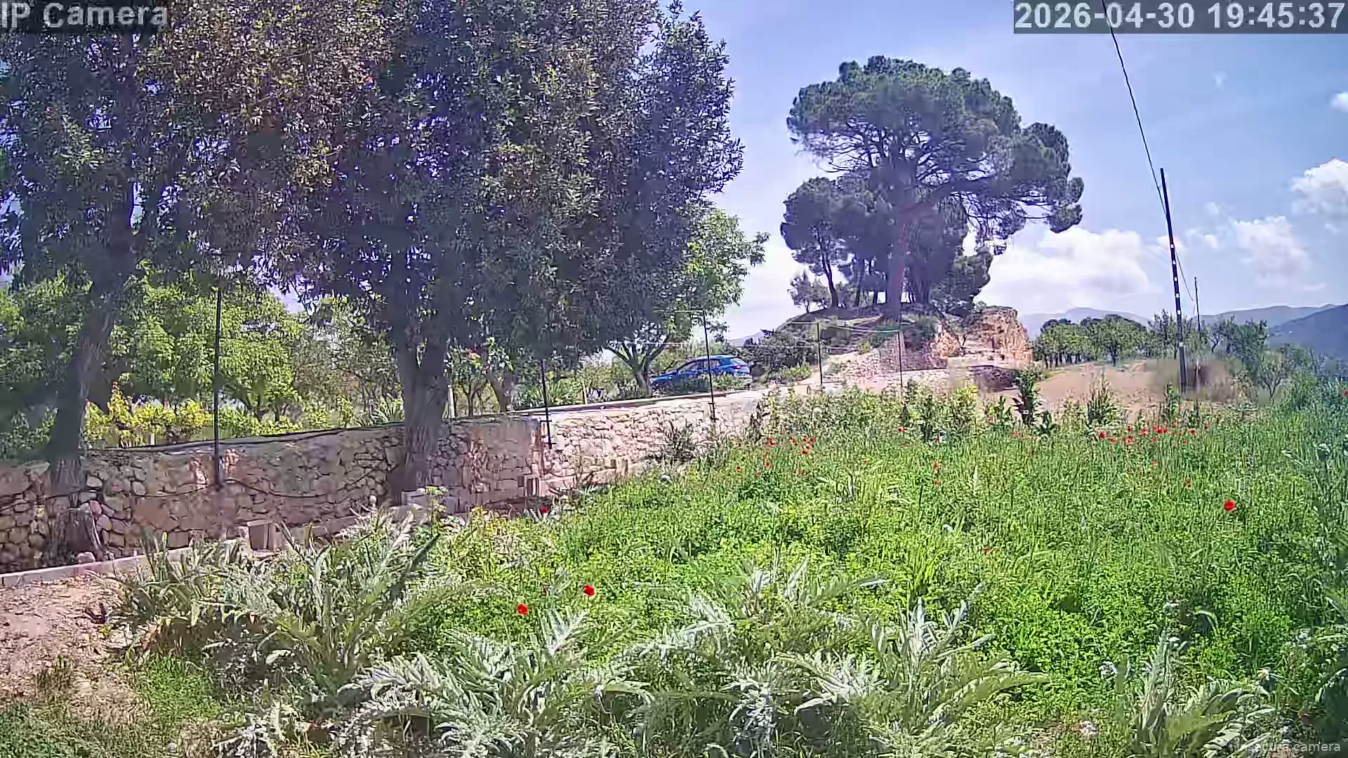Camera in Spain