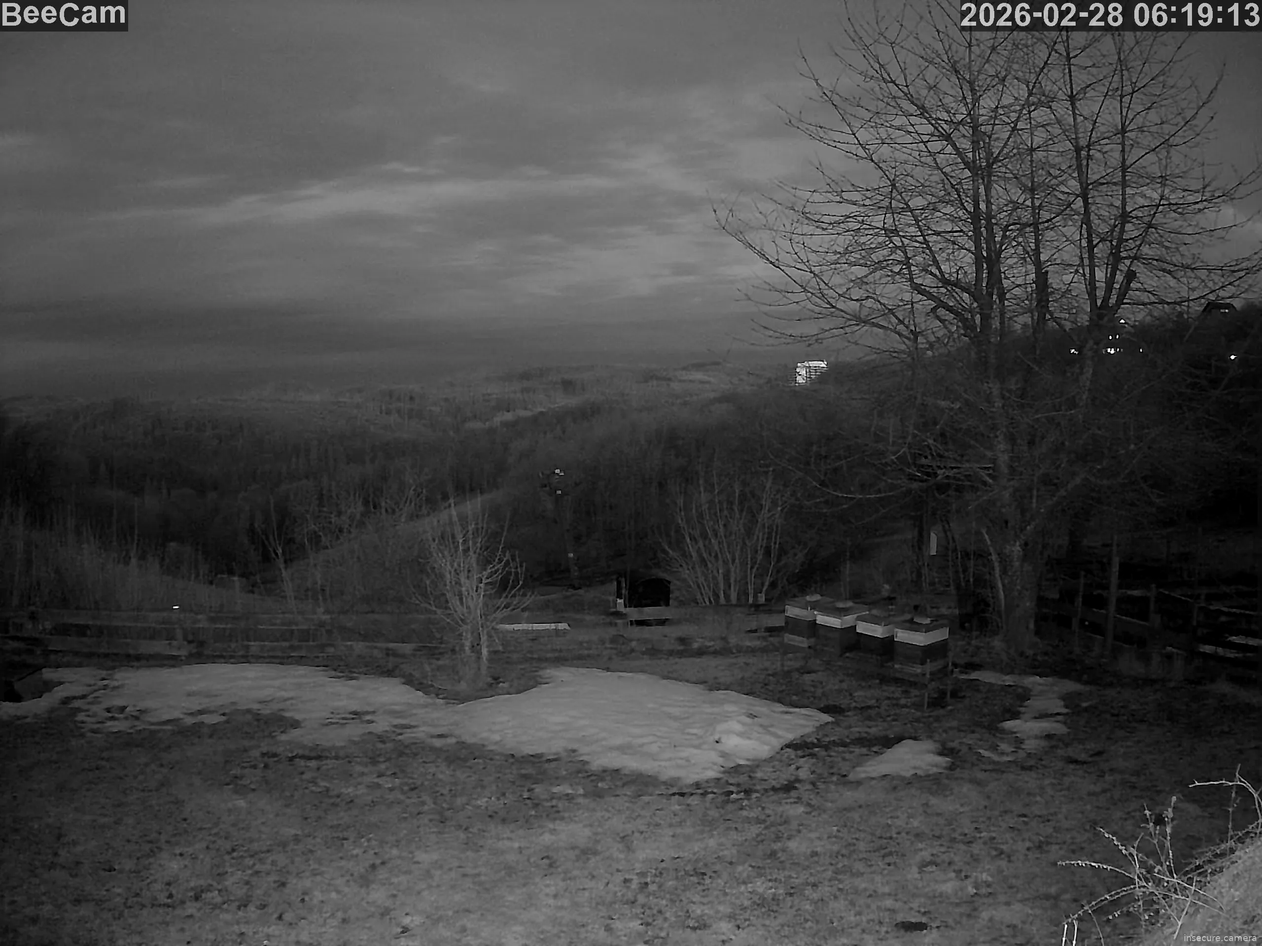 Capture from Feb 28, 2026 at 05:19 AM