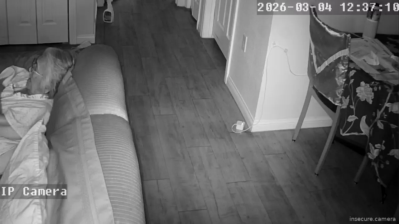 Camera in United States