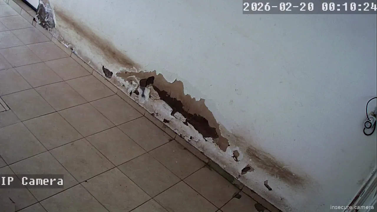 Capture from Feb 19, 2026 at 04:10 PM