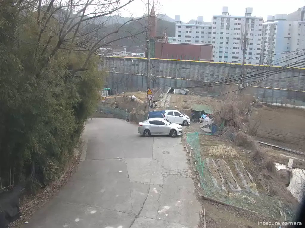 Capture from Mar 01, 2026 at 08:17 AM