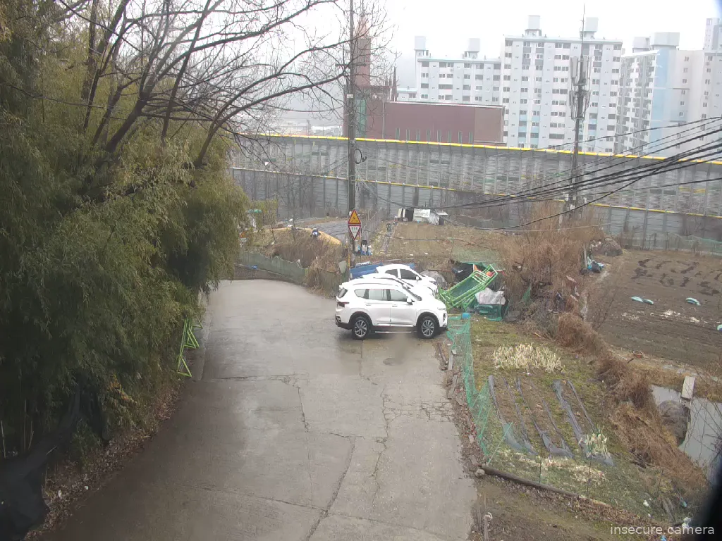 Camera in South Korea