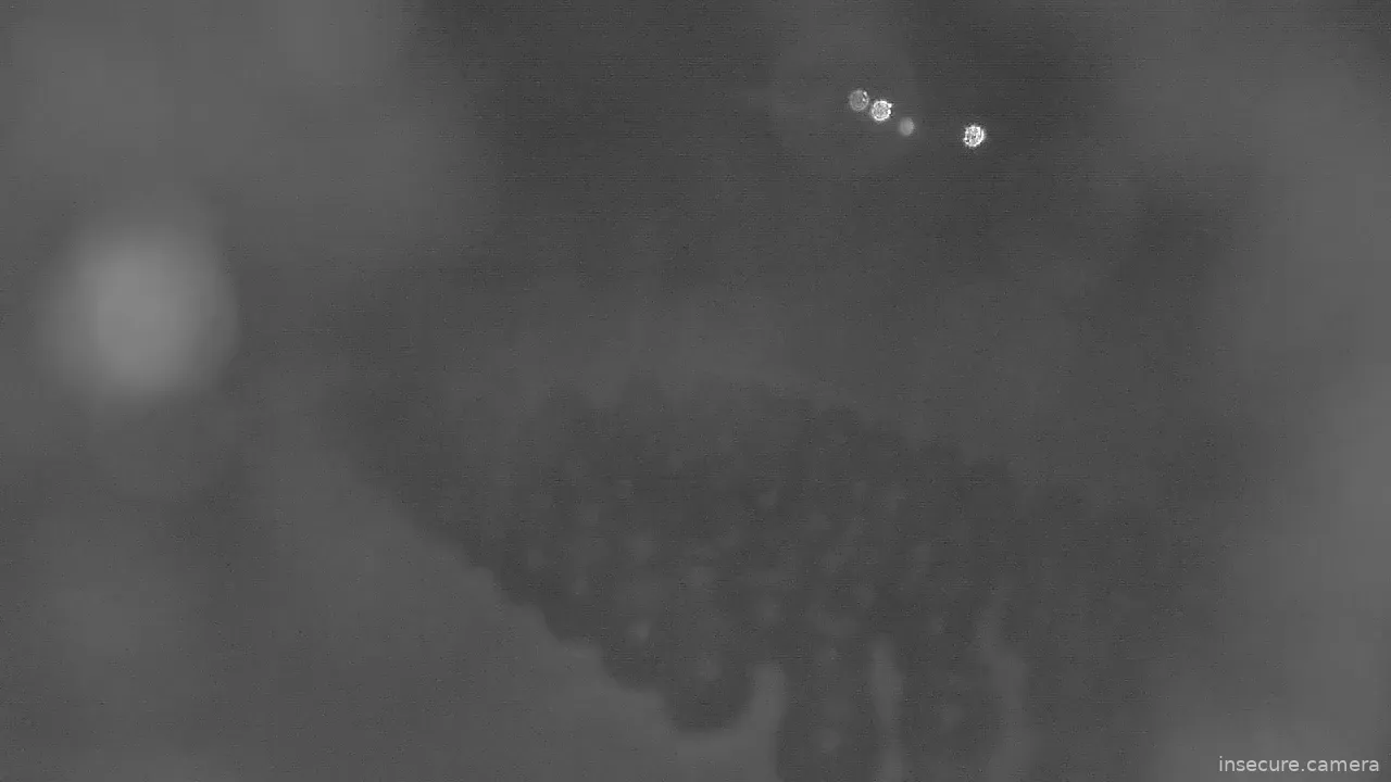 Capture from Feb 19, 2026 at 11:05 AM