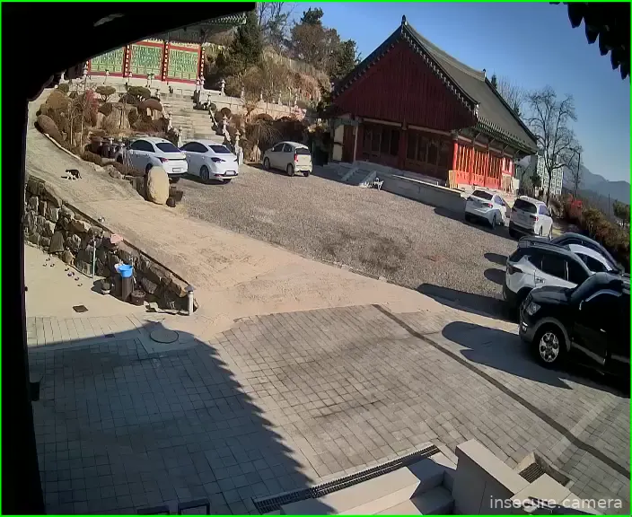 Capture from Feb 19, 2026 at 12:54 AM