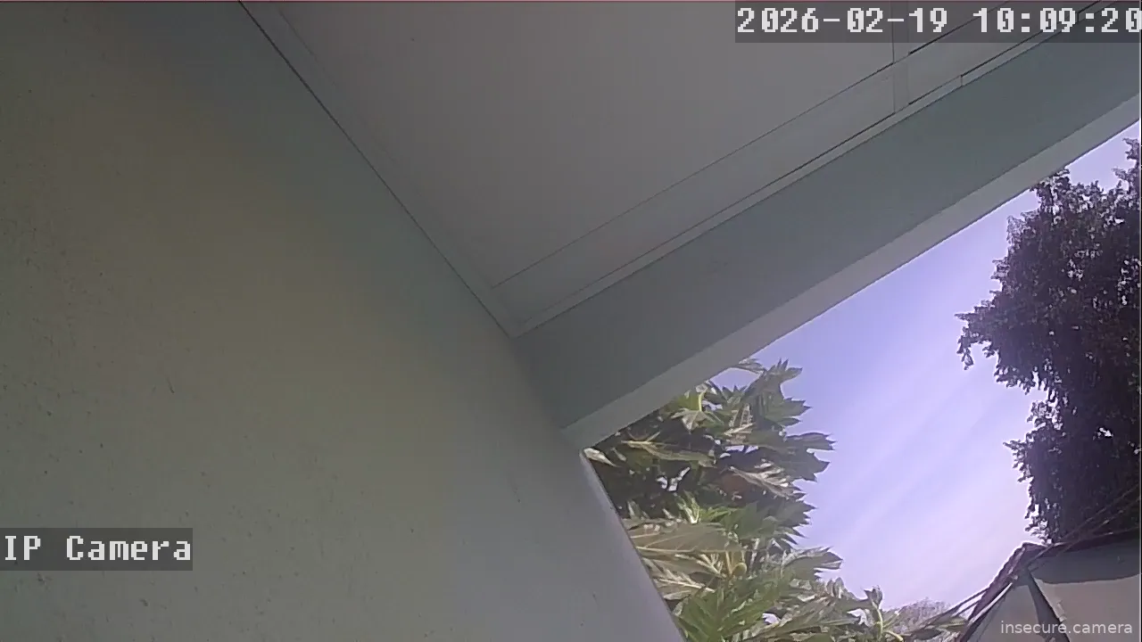 Capture from Feb 19, 2026 at 01:09 AM