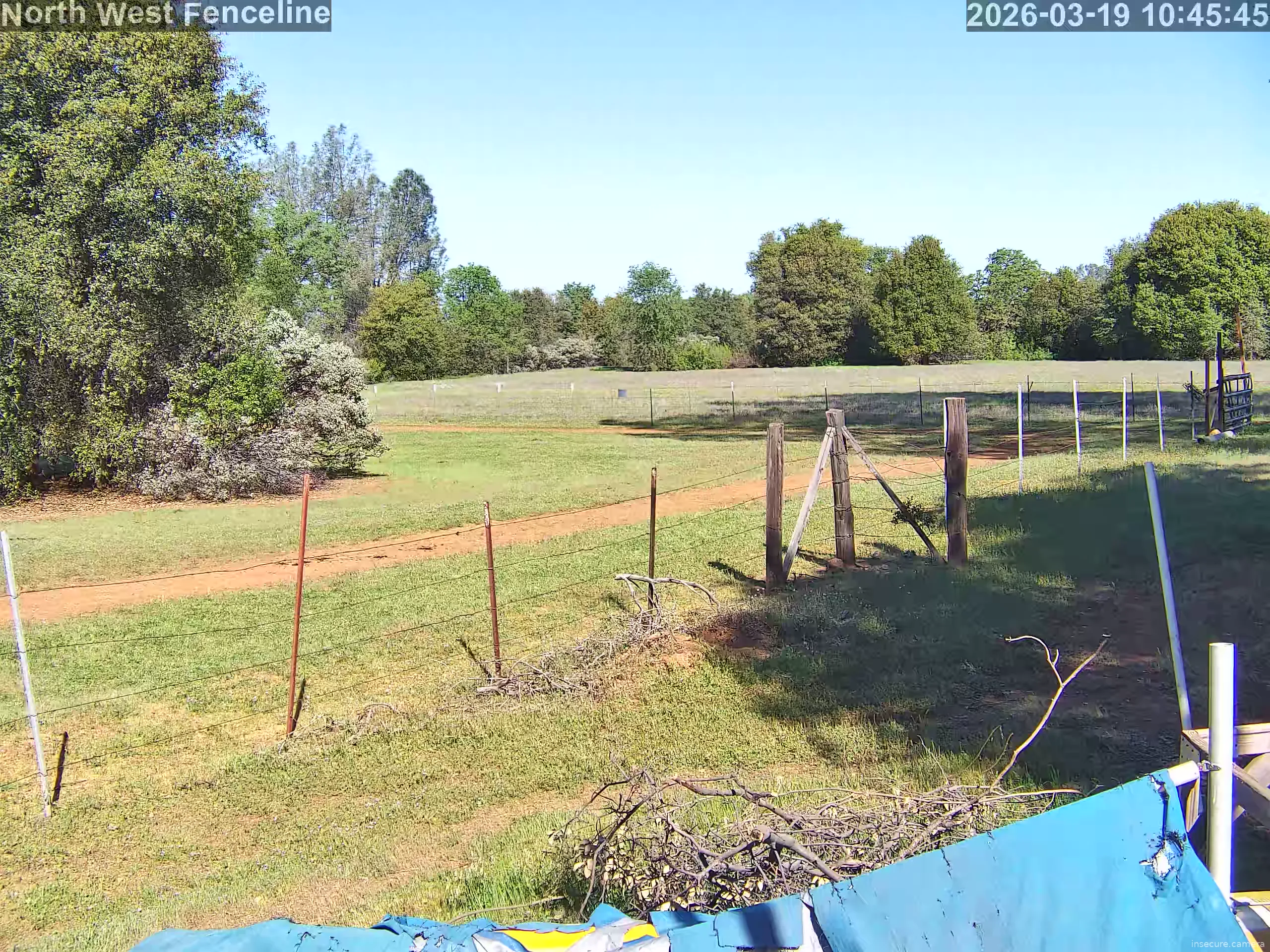 Capture from Mar 19, 2026 at 05:46 PM