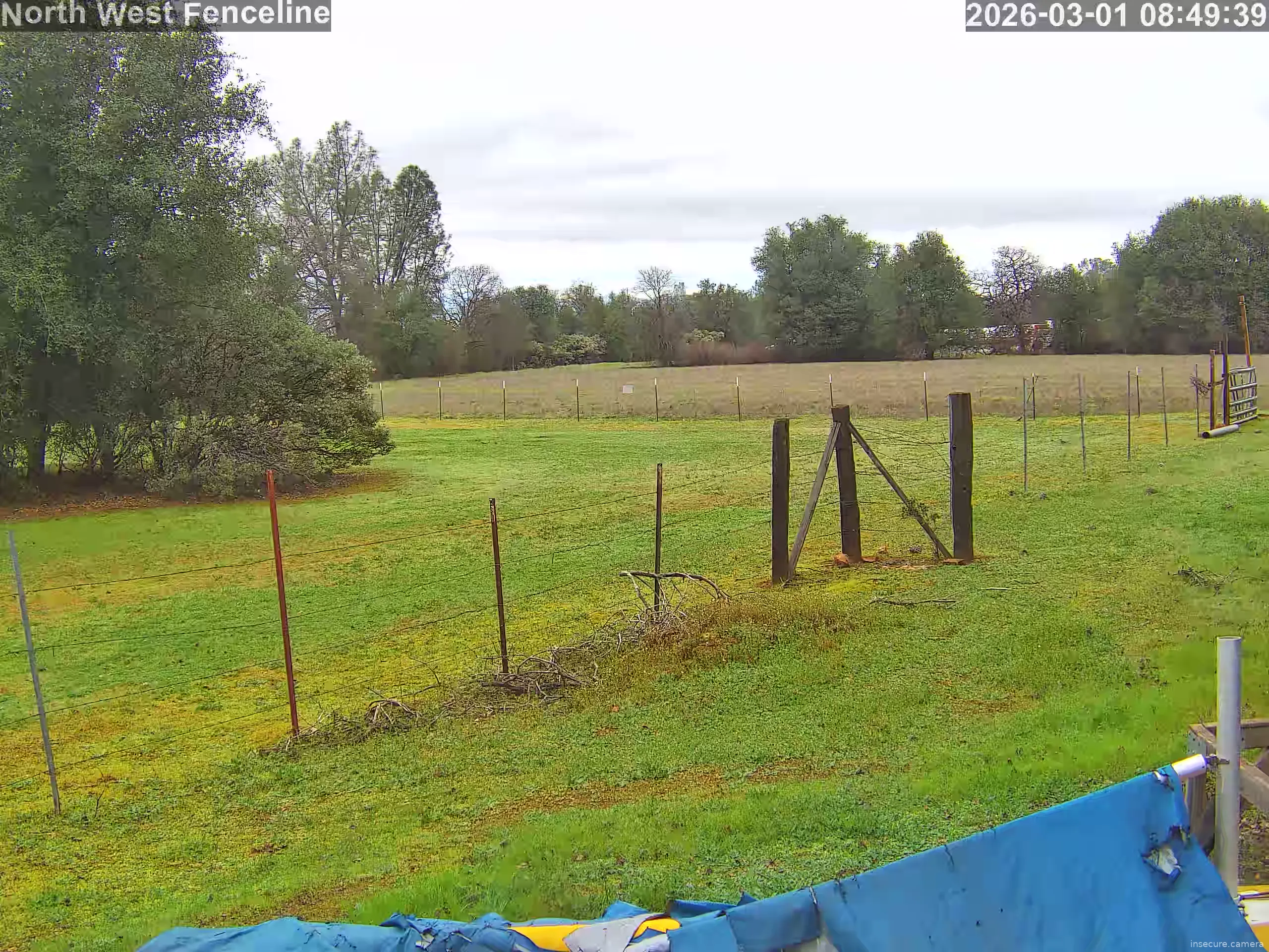 Capture from Mar 01, 2026 at 04:50 PM