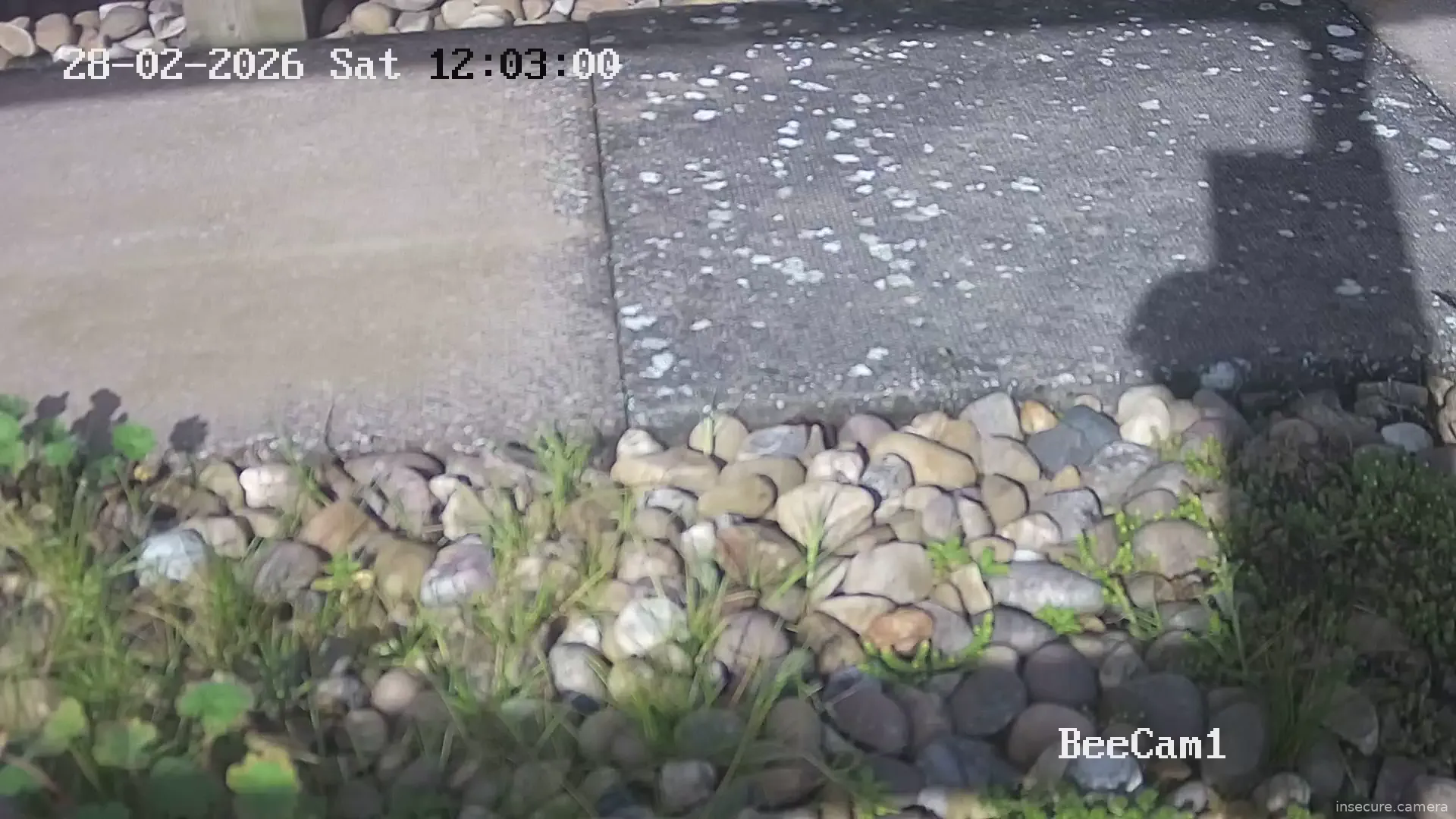 Capture from Feb 28, 2026 at 12:14 PM