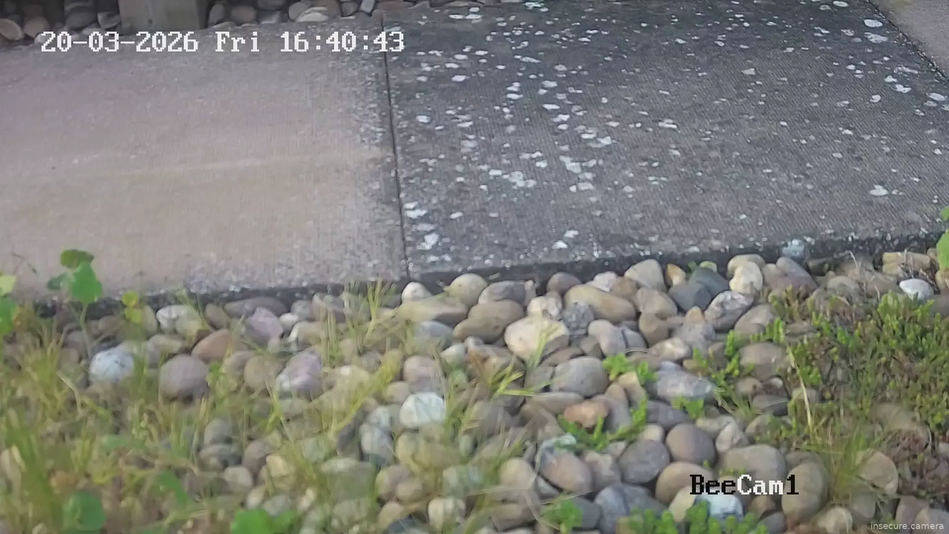 Camera in United Kingdom