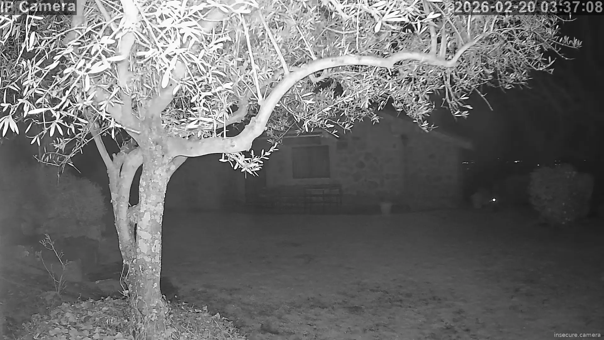 Capture from Feb 19, 2026 at 07:37 PM