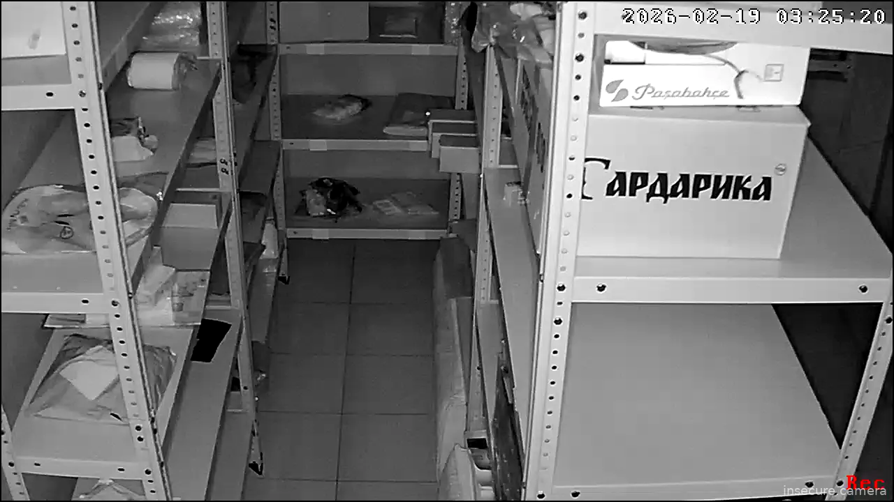 Capture from Feb 19, 2026 at 12:25 AM