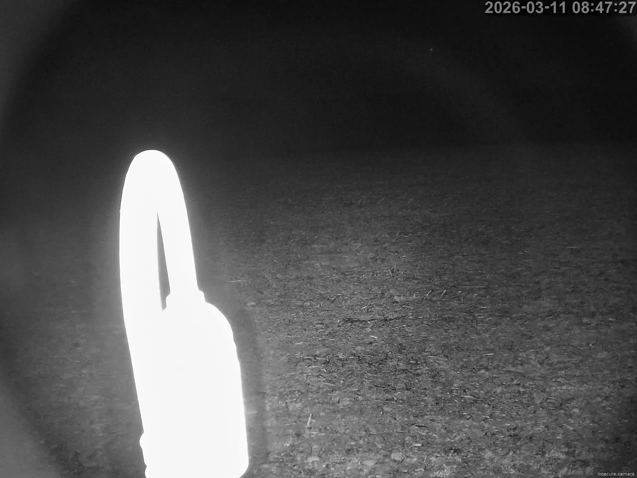 Capture from Mar 11, 2026 at 12:47 AM