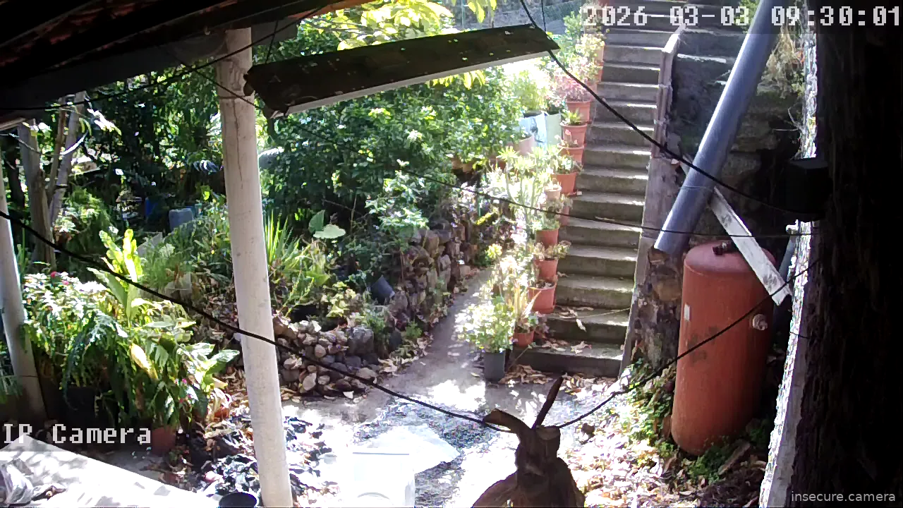 Capture from Mar 03, 2026 at 10:30 AM