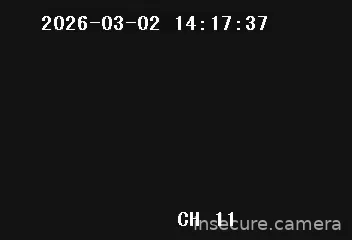 Capture from Mar 02, 2026 at 06:29 AM