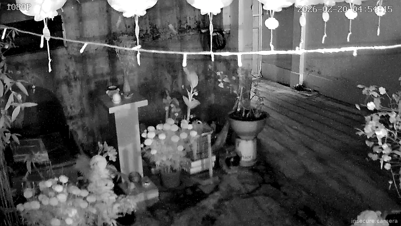 Capture from Feb 19, 2026 at 09:54 PM