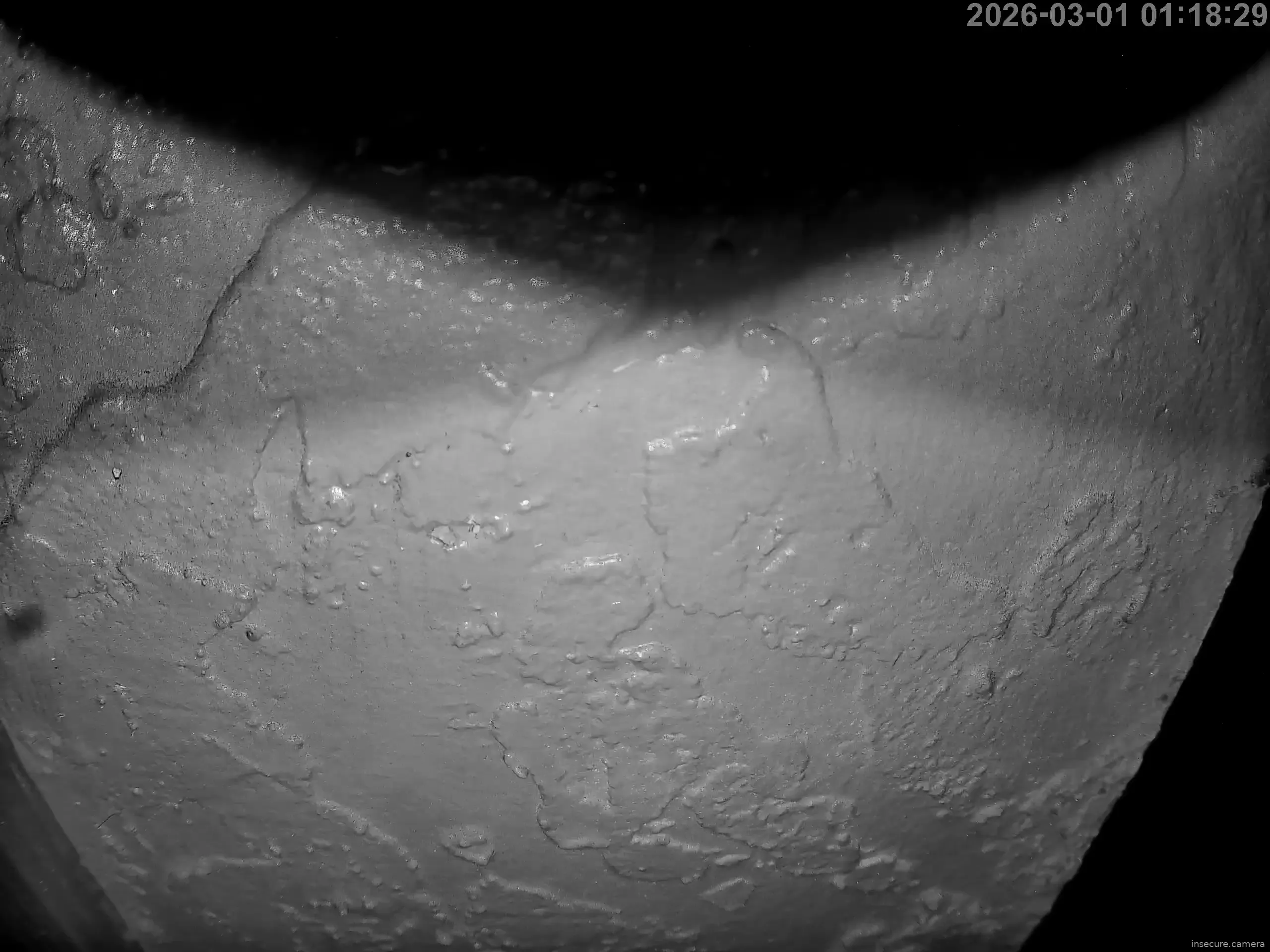 Capture from Mar 01, 2026 at 06:19 AM